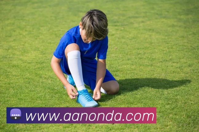 奖项证书